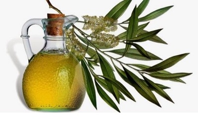 تاثیر اسانس درخت چای بر دمان آکنه تاثیر اسانس درخت چای بر دمان آکنه